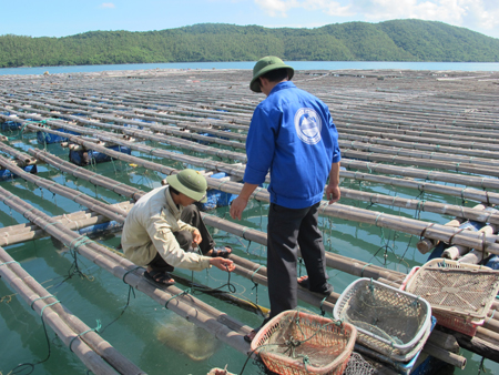 Fisheries production totals over VND67,400 tons in 9 months